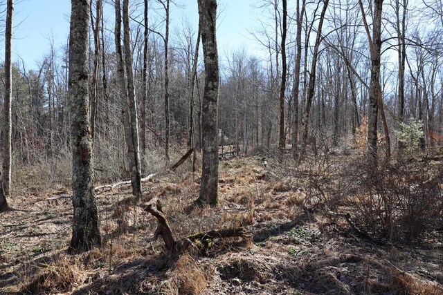 TBD King Summit Rd, Coalton, WV 26257
