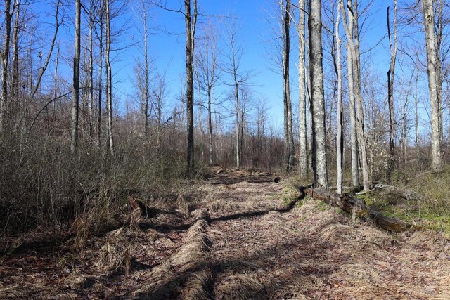TBD King Summit Rd, Coalton, WV 26257