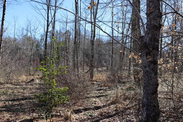 TBD King Summit Rd, Coalton, WV 26257