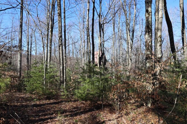 TBD King Summit Rd, Coalton, WV 26257