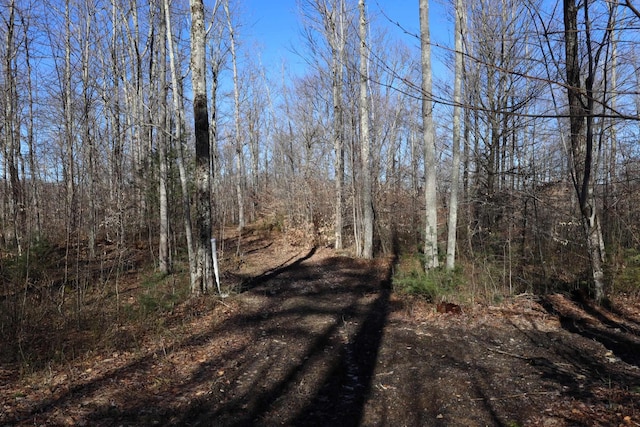 TBD King Summit Rd, Coalton, WV 26257