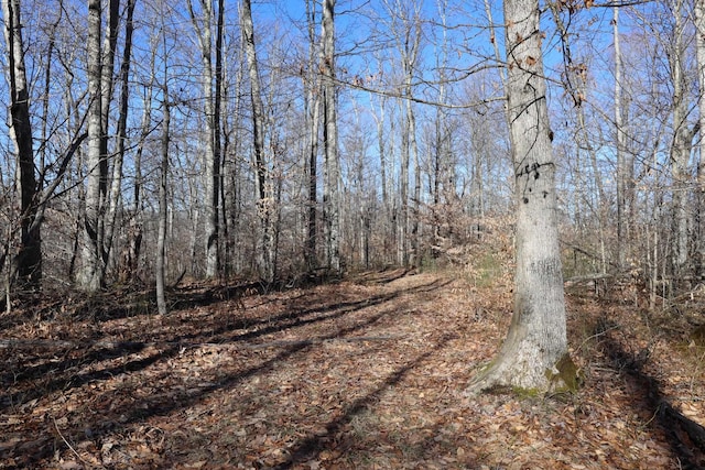 TBD King Summit Rd, Coalton, WV 26257
