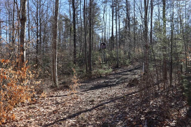 TBD King Summit Rd, Coalton, WV 26257