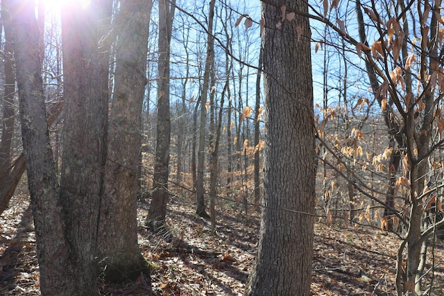 TBD King Summit Rd, Coalton, WV 26257