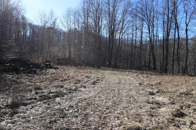TBD King Summit Rd, Coalton, WV 26257