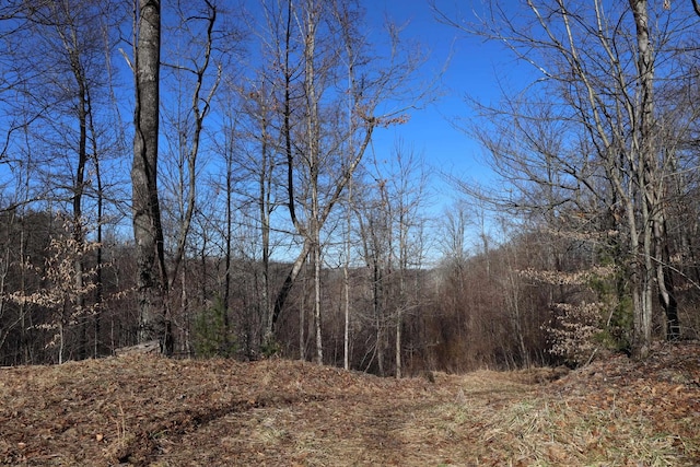 TBD King Summit Rd, Coalton, WV 26257