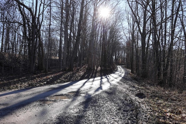 TBD King Summit Rd, Coalton, WV 26257