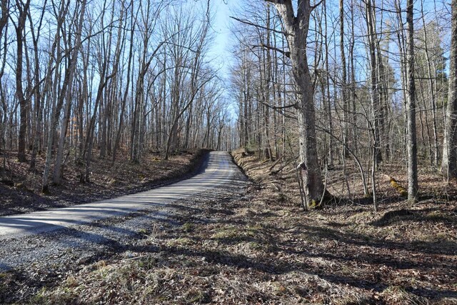 TBD King Summit Rd, Coalton, WV 26257