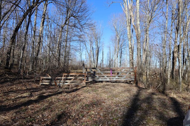 TBD King Summit Rd, Coalton, WV 26257