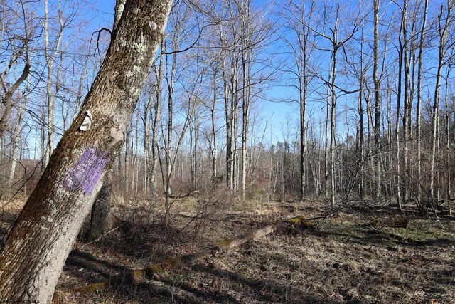 TBD King Summit Rd, Coalton, WV 26257