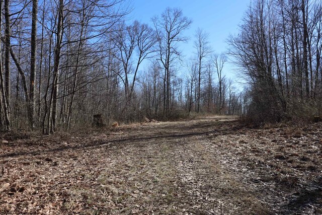 TBD King Summit Rd, Coalton, WV 26257