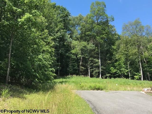 206 Sabre Ct, Morgantown WV, 26508 land for sale