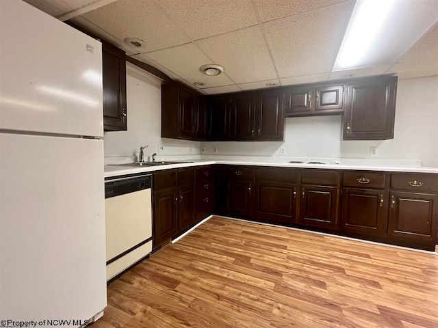 kitchen featuring light hardwood / wood-style floors, a paneled ceiling, dark brown cabinets, white appliances, and sink