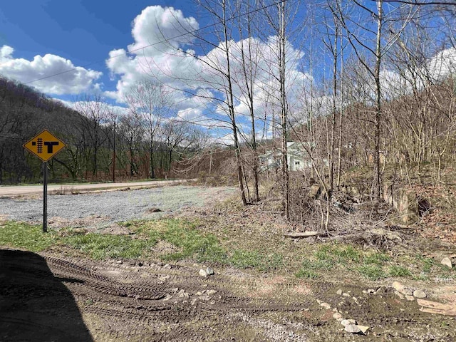 Listing photo 2 for TBD Crane Camp Rd, Walkersville WV 26447