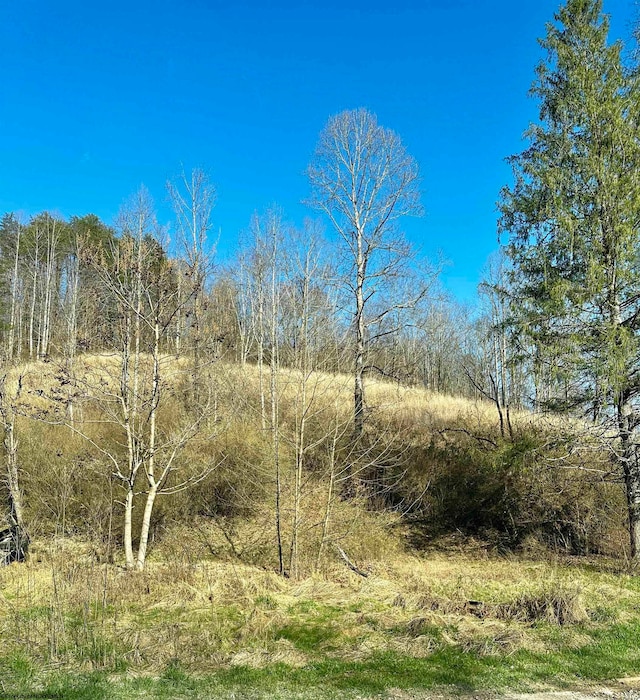 26 Aspin Rd, Weston WV, 26452 land for sale