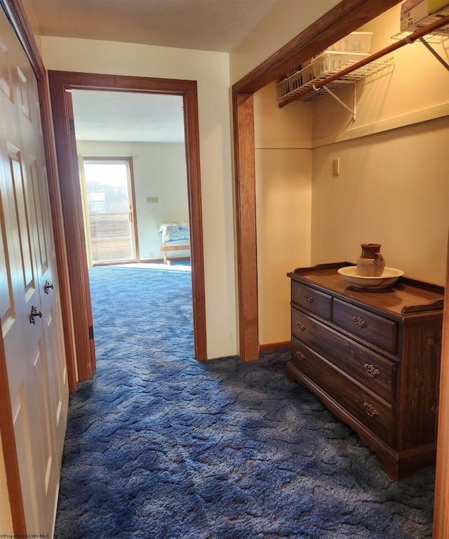 walk in closet with dark carpet