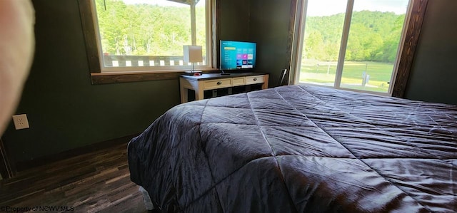 bedroom featuring multiple windows and dark wood-type flooring