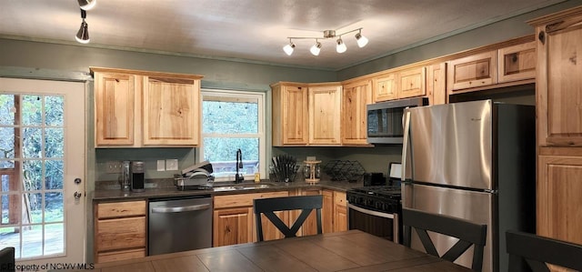 kitchen with plenty of natural light, rail lighting, stainless steel appliances, and sink