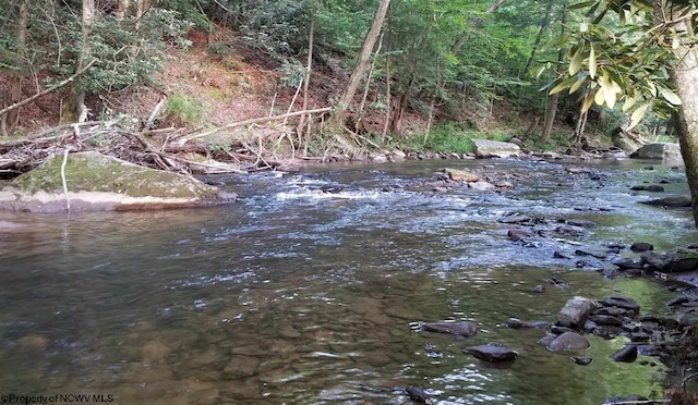 view of nature with a water view