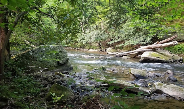 view of local wilderness with a water view