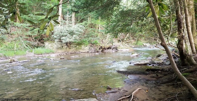 view of local wilderness with a water view