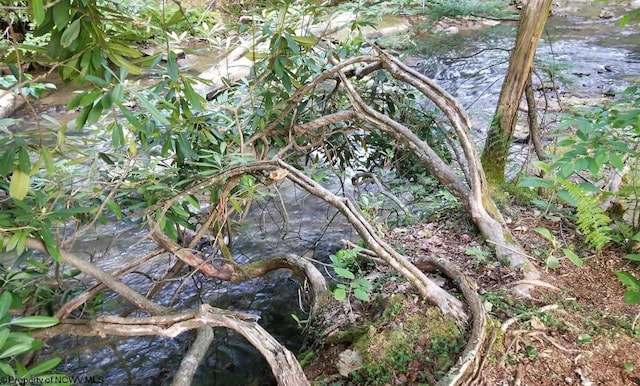 view of nature featuring a water view