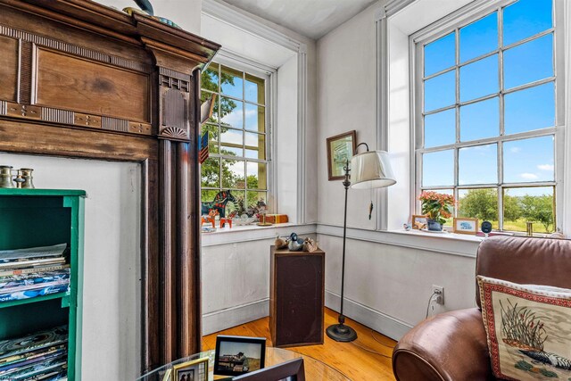 sitting room with light wood-type flooring