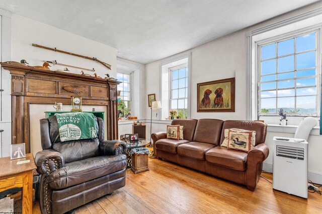 living room with a healthy amount of sunlight and light hardwood / wood-style flooring