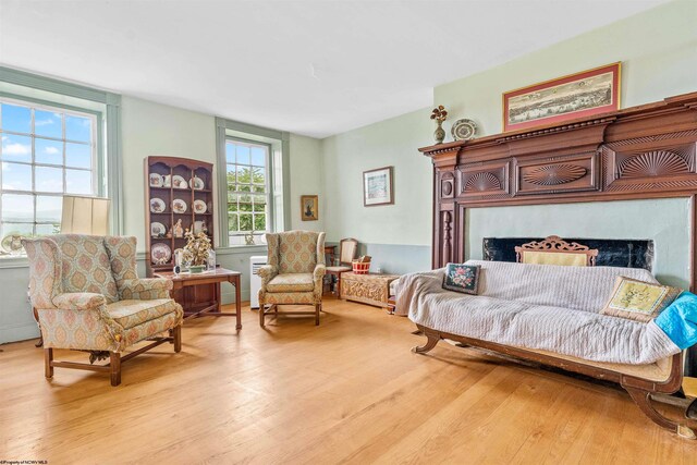 interior space with a premium fireplace and light hardwood / wood-style flooring