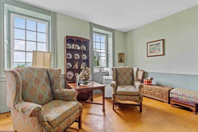 sitting room featuring light hardwood / wood-style flooring and a wealth of natural light