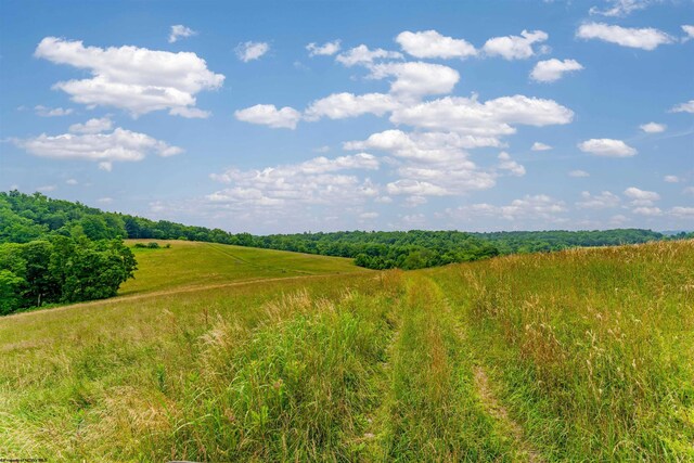 view of nature featuring a rural view