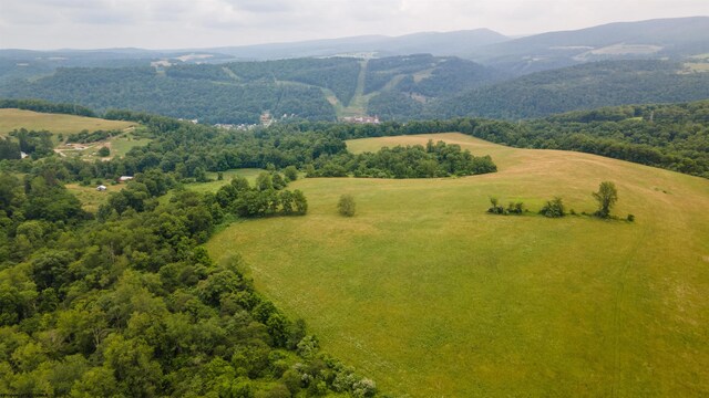 birds eye view of property featuring a mountain view