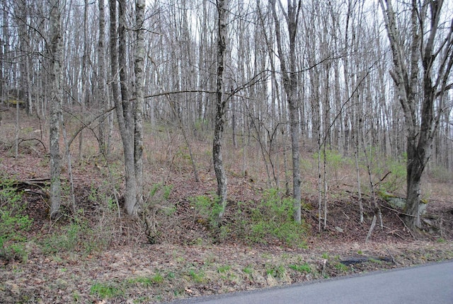 ParcelB Union Road, Philippi WV, 26416 land for sale