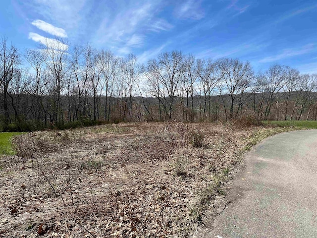 LOT9 Bosworth Dr, Elkins WV, 26241 land for sale