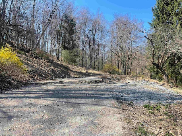 218 Academy St, Buckhannon WV, 26201 land for sale