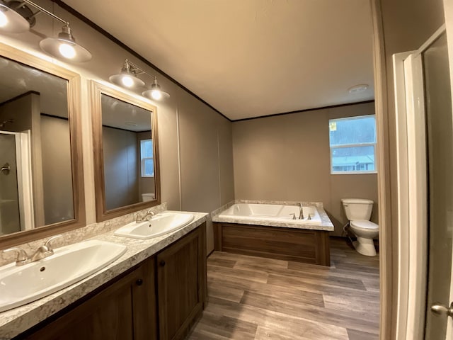 bathroom featuring vanity, toilet, wood-type flooring, and a bathing tub