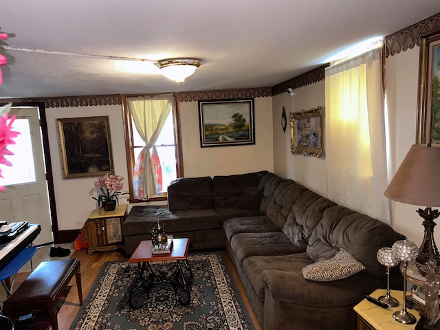 living room with hardwood / wood-style flooring