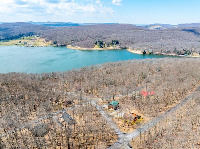 drone / aerial view with a water and mountain view