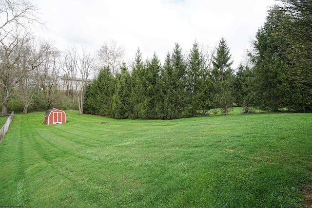 view of yard with a storage shed