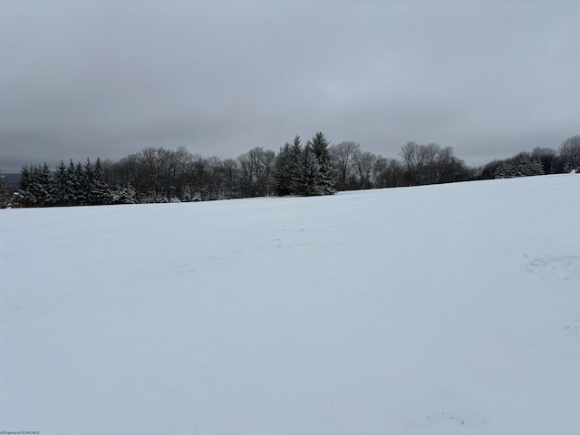 Listing photo 3 for LOT2 Pointy Knob Rd, Davis WV 26260