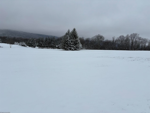 Listing photo 3 for LOT3 Pointy Knob Rd, Davis WV 26260