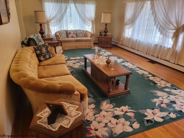 living room featuring dark hardwood / wood-style flooring and a healthy amount of sunlight