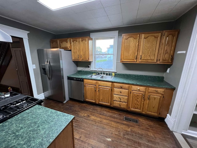 kitchen featuring appliances with stainless steel finishes, sink, and dark hardwood / wood-style flooring