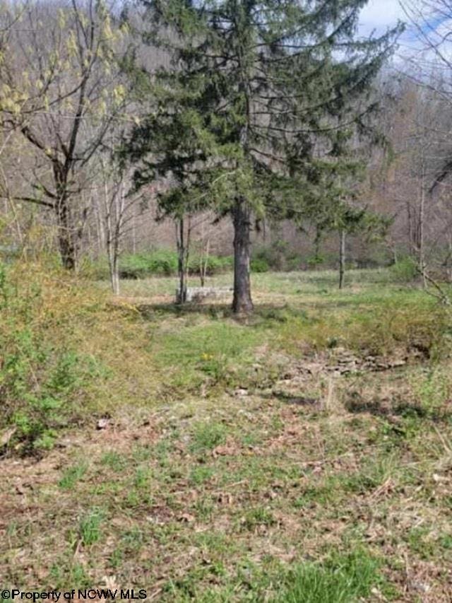 Listing photo 2 for 75 Upper Isner Creek Rd, Elkins WV 26241