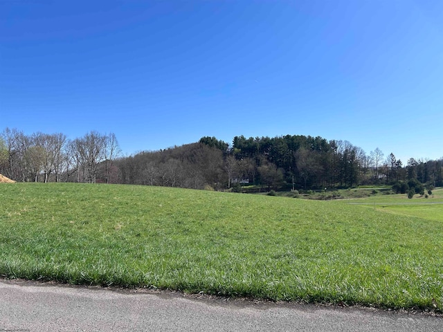 LOT36 Hayfield Loop, Elkins WV, 26241 land for sale