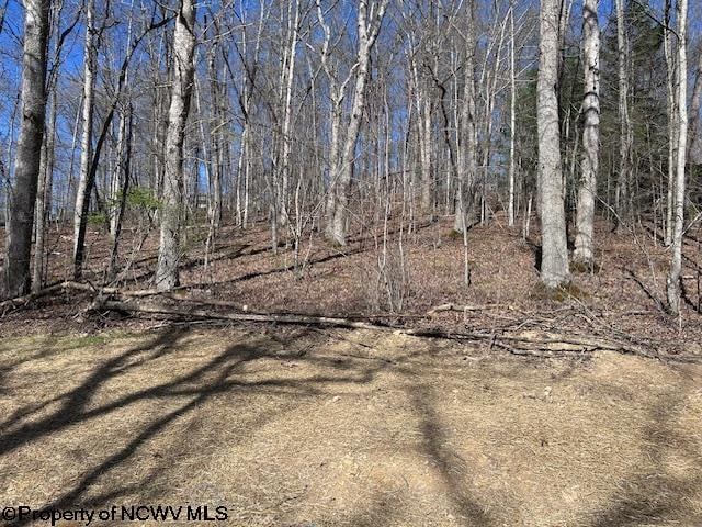 Listing photo 3 for LOT30 Woodland Dr, Beverly WV 26241