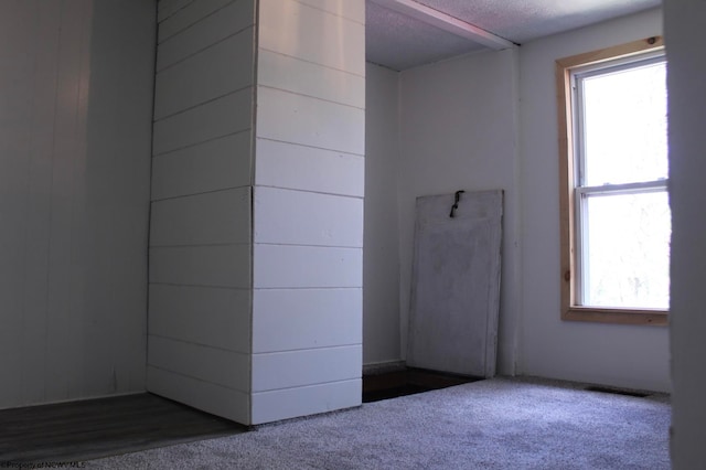 empty room featuring a textured ceiling and carpet floors