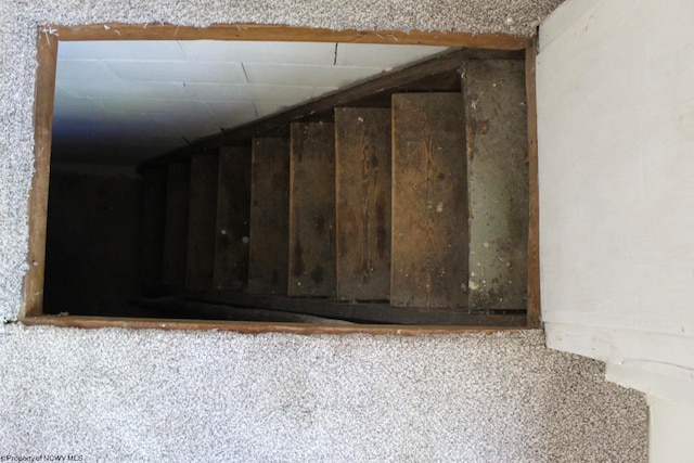 stairway with carpet floors