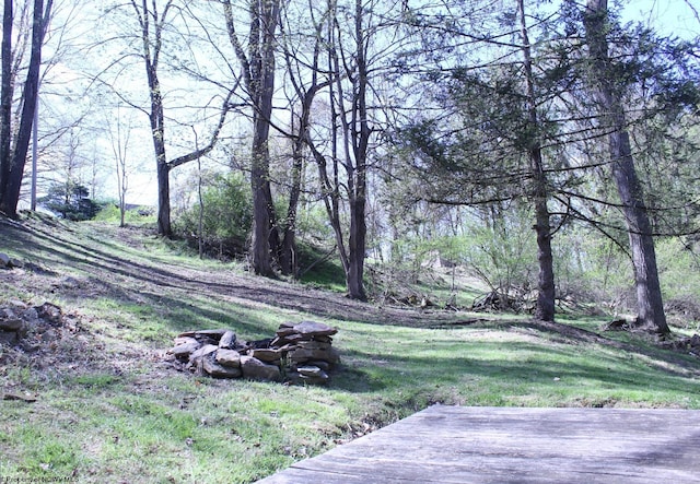 view of yard with a wooden deck