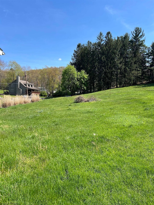 view of yard with a rural view